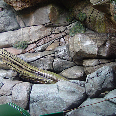 大連91视频免费在线观看下载 大連91视频免费在线观看下载